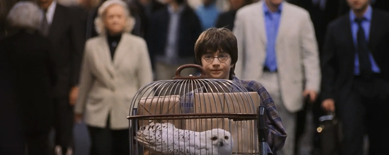 哈利波特的猫头鹰叫什么名字