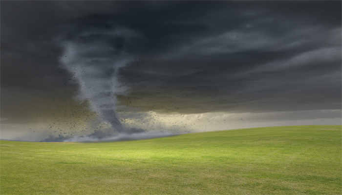 柴进为什么被称为小旋风