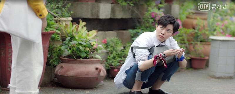 追球乐东东扮演者