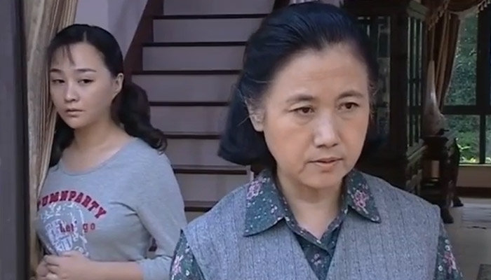 保姆叫陶燕子的电视剧