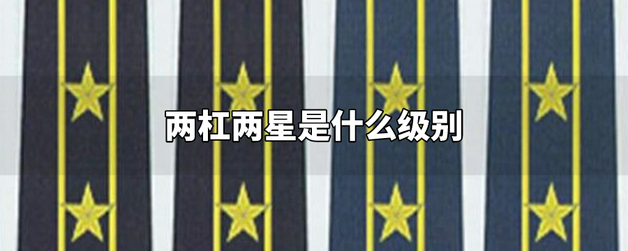 两杠两星是中校军衔,是军队副团职级别.