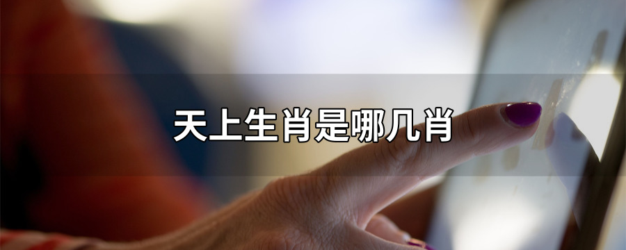 天上生肖是哪几肖