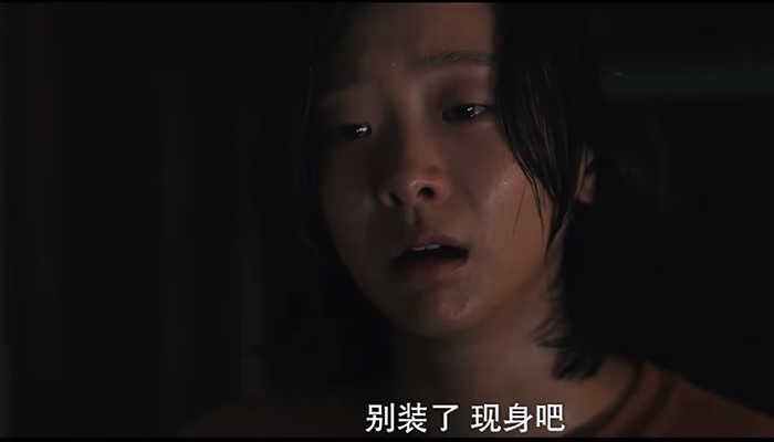 扮猪吃老虎的电影