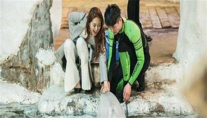 阮曼君是哪个电视剧
