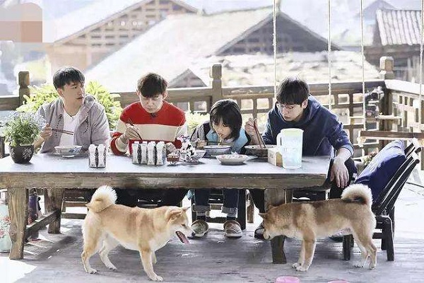 向往的生活3每周几播出