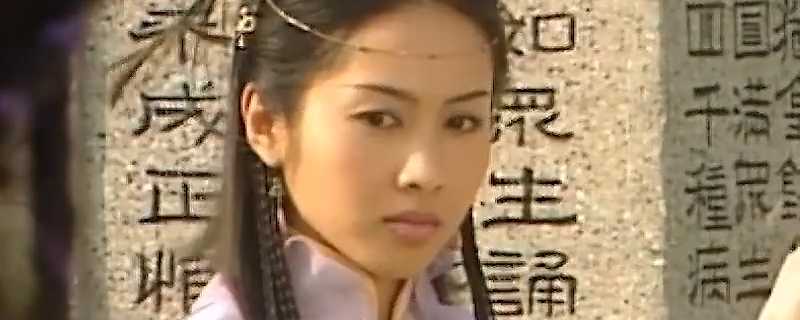 张无忌喜欢谁