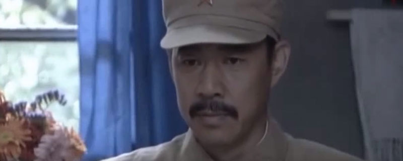 朱将军芷兰是什么电视剧