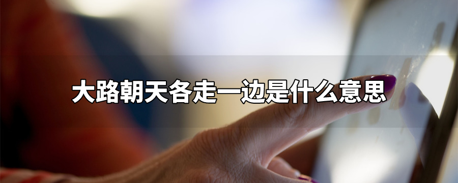 大路朝天各走一边是什么意思