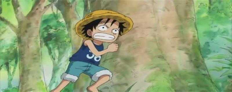 路飞的霸气有几种