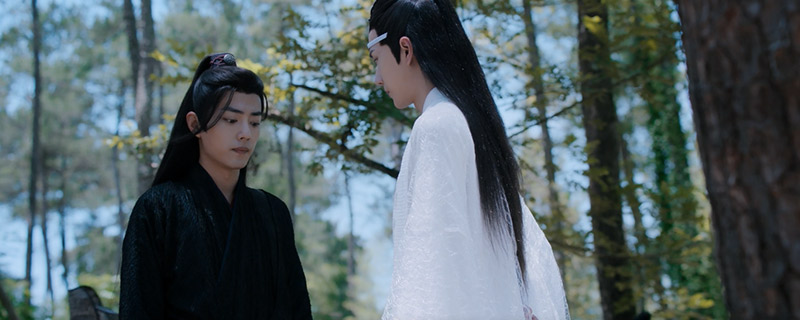 陈情令蓝湛第几集认出魏无羡