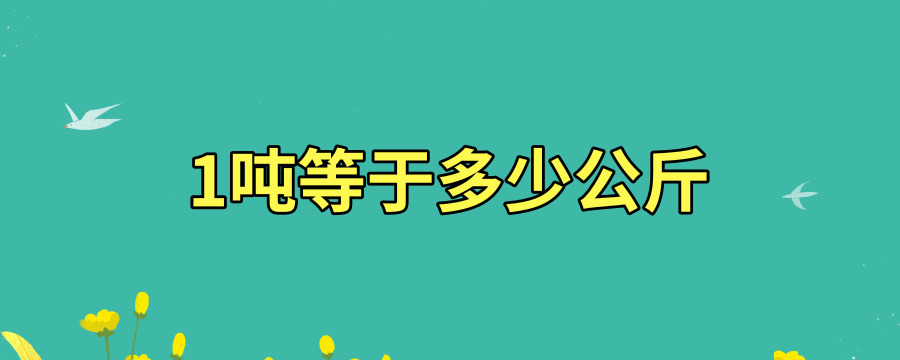 1吨等于多少公斤 解历史