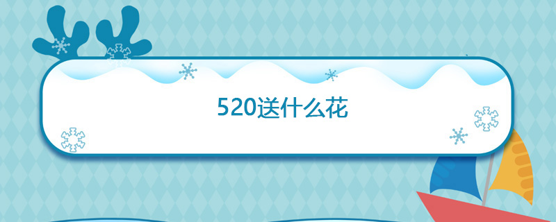 520送什么花