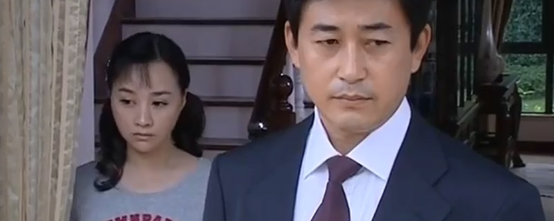 保姆叫陶燕子的电视剧