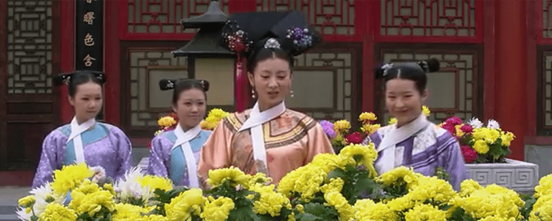 历史上有甄嬛吗