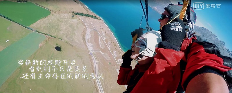 青春的花路更新时间