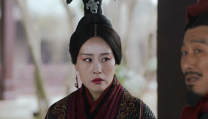 大秦赋邬君梅演的是芈月吗