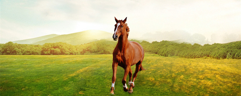 孙膑为什么要让田忌这样安排马的出场顺序