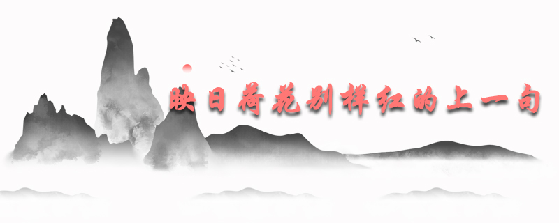 映日荷花别样红的上一句