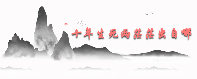 十年生死两茫茫出自哪首词