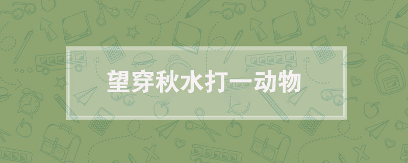 望穿秋水打一动物