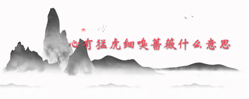 心有猛虎细嗅蔷薇什么意思