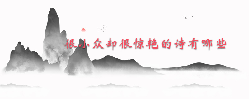 很小众却很惊艳的诗有哪些