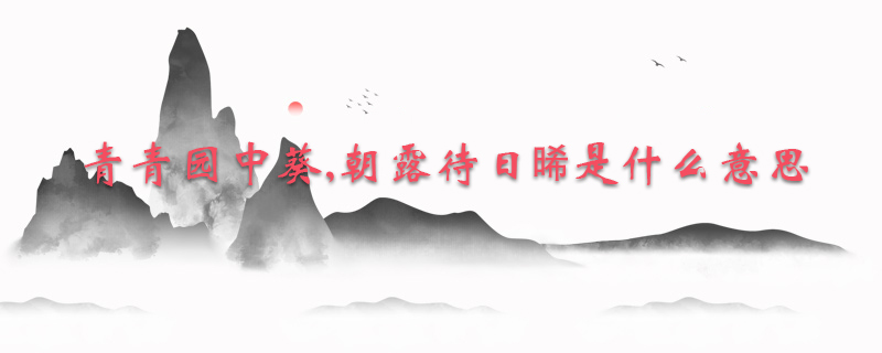 青青园中葵,朝露待日晞是什么意思