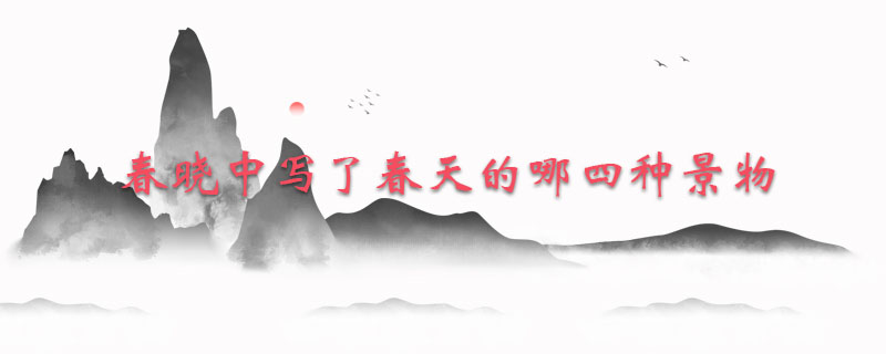 春晓中写了春天的哪四种景物