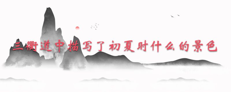 三衢道中描写了初夏时什么的景色
