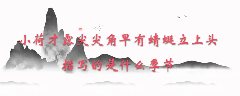 小荷才露尖尖角早有蜻蜓立上头描写的是什么季节