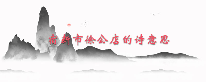 宿新市徐公店的诗意思