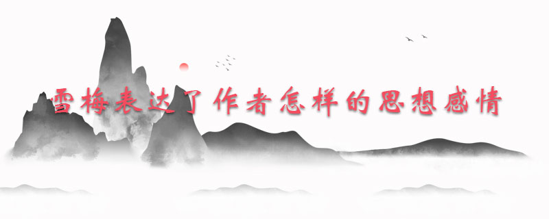 雪梅表达了作者怎样的思想感情