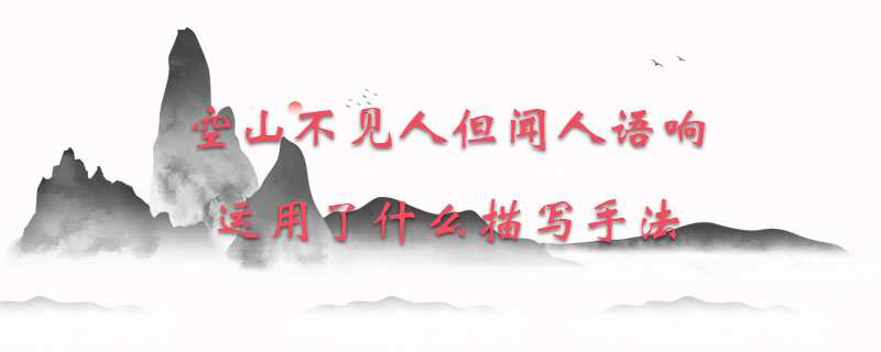 空山不见人但闻人语响运用了什么描写手法