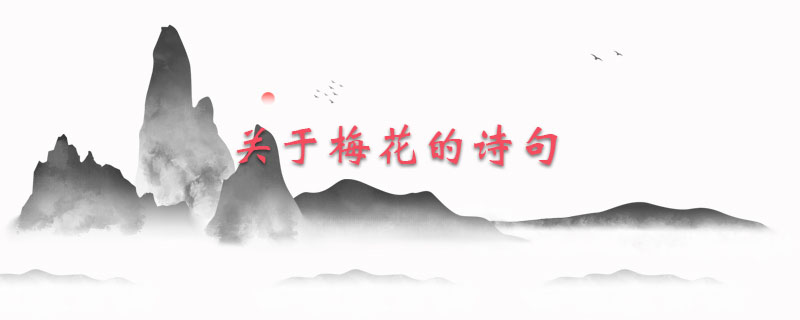 关于梅花的诗句