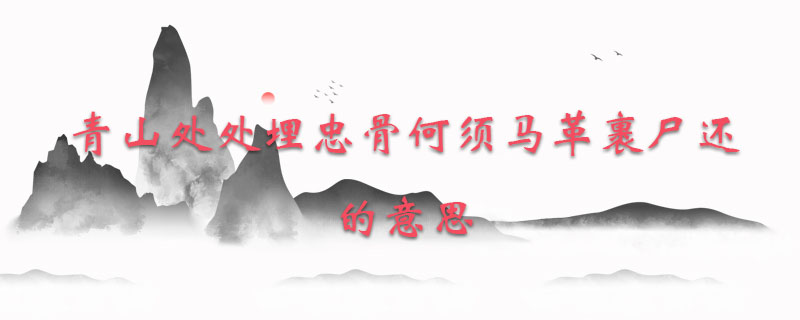 青山处处埋忠骨何须马革裹尸还的意思