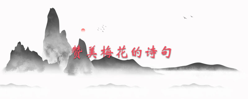赞美梅花的诗句