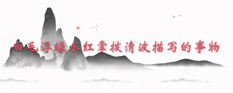 白毛浮绿水红掌拨清波描写的事物