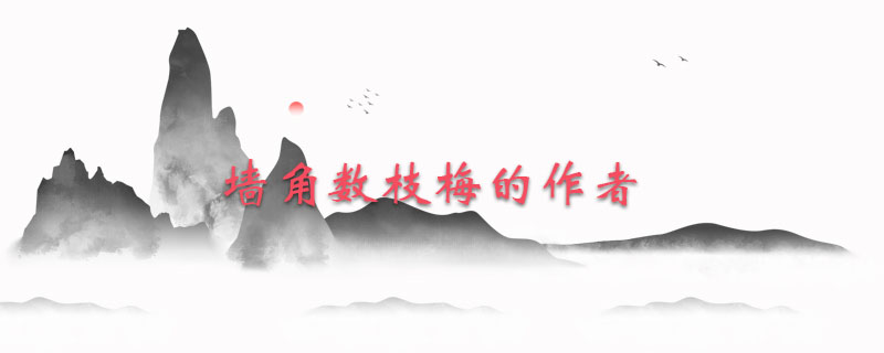 墙角数枝梅的作者