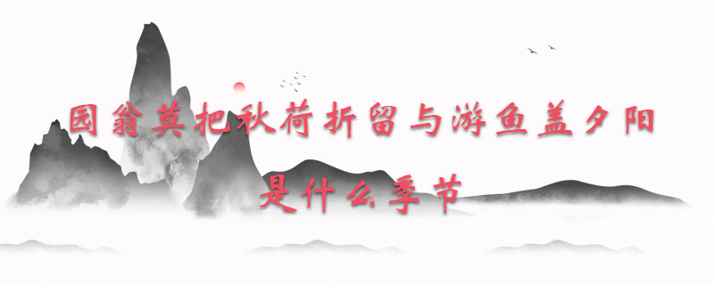 园翁莫把秋荷折留与游鱼盖夕阳是什么季节