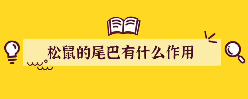 松鼠的尾巴有什么作用