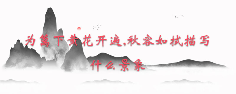 为篱下黄花开遍,秋容如拭描写什么景象