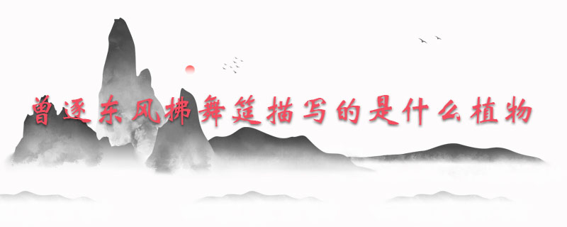 曾逐东风拂舞筵描写的是什么植物