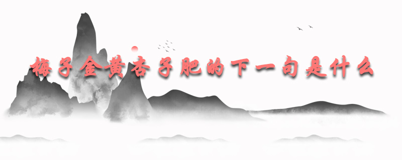 梅子金黄杏子肥的下一句是什么