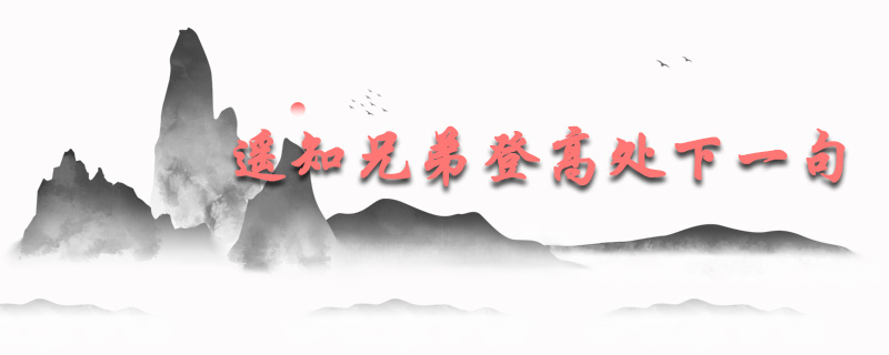 遥知兄弟登高处下一句是什么