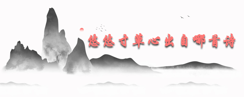 悠悠寸草心出自哪首诗