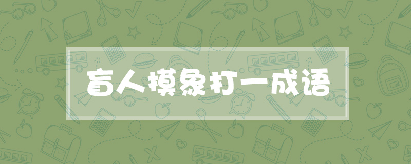 盲人摸象打一成语