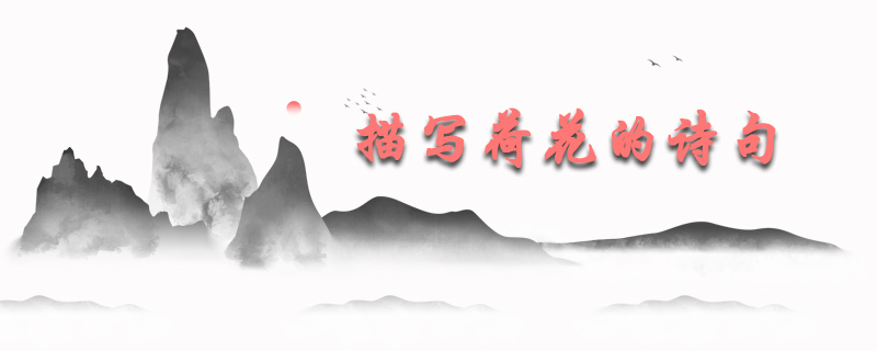 描写荷花的诗句