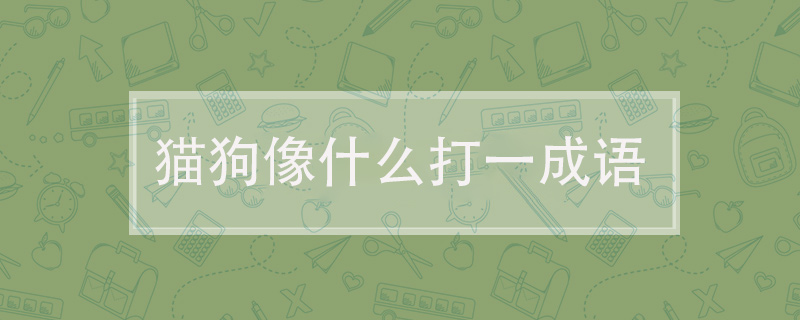 猫狗像什么打一成语