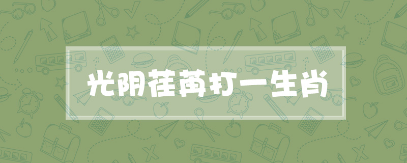 光阴荏苒打一生肖