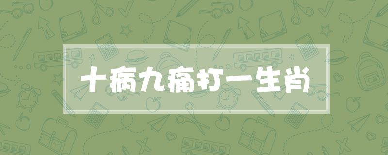 十病九痛打一生肖